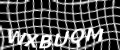 visual CAPTCHA