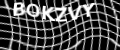 visual CAPTCHA