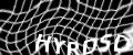 visual CAPTCHA