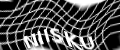 visual CAPTCHA